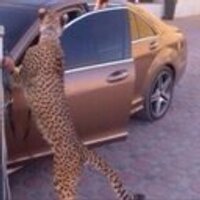 انا انا (@waeh1234) 's Twitter Profile