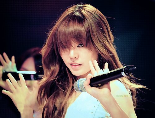 Twitter.e udah gak kanggo/?