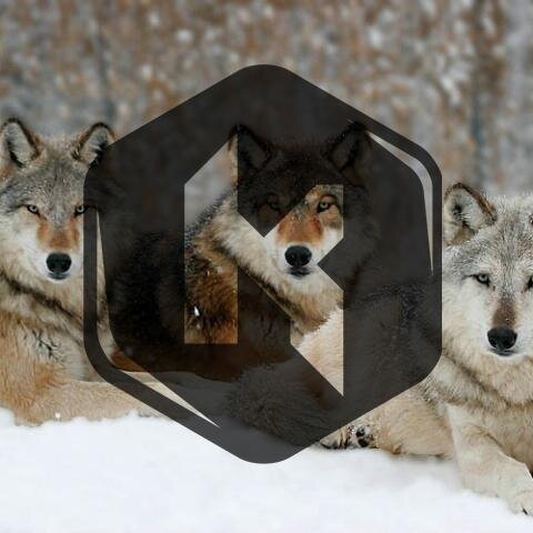 ktheoryWolfpack's profile picture. @ktheorymusic Fan Club
