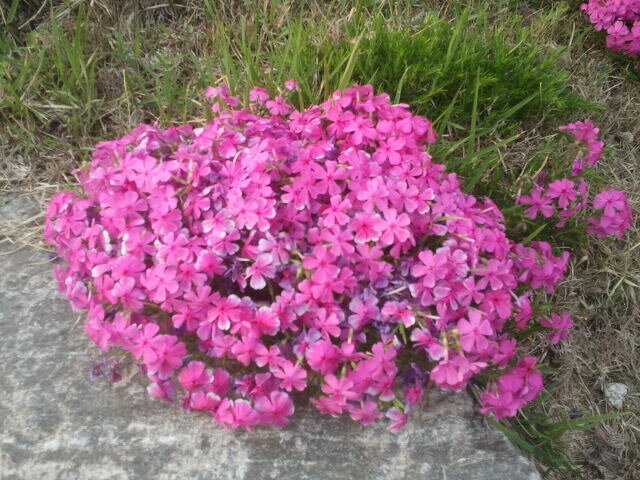 wwps2011's profile picture. 