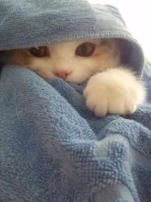 mucho frioo