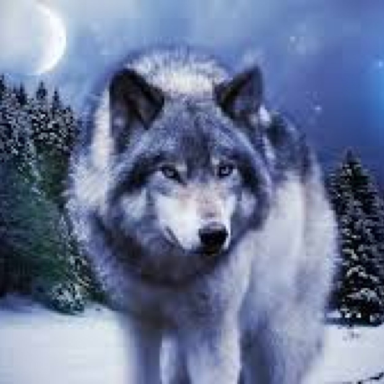 minecraftbacca's profile picture. Hello followers!!!!!!!