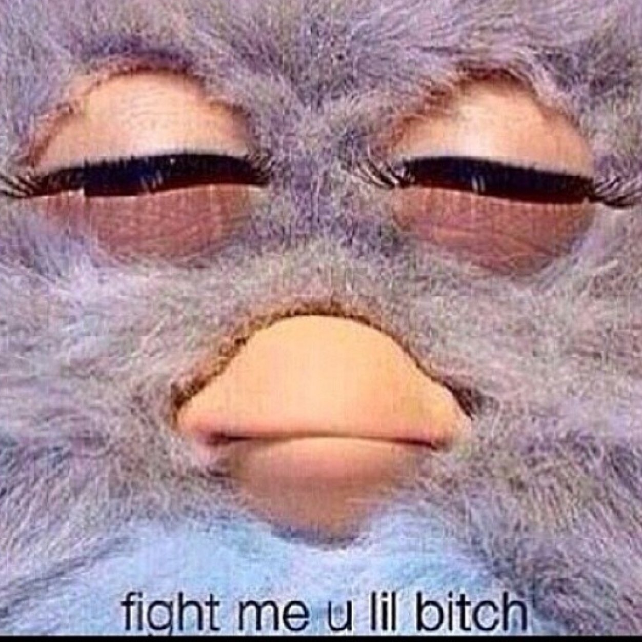 FelinaaaBill's profile picture. 