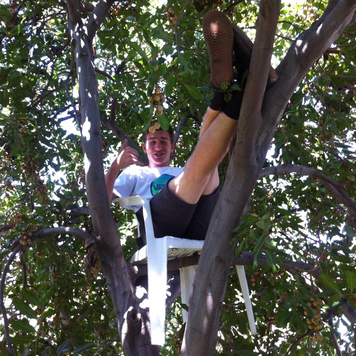 bruce_klein's profile picture. 