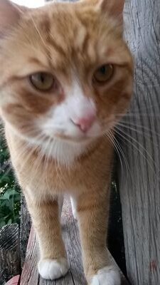 V78272621's profile picture. just me