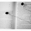 Judy Steiner - @judypiehands - Twitter