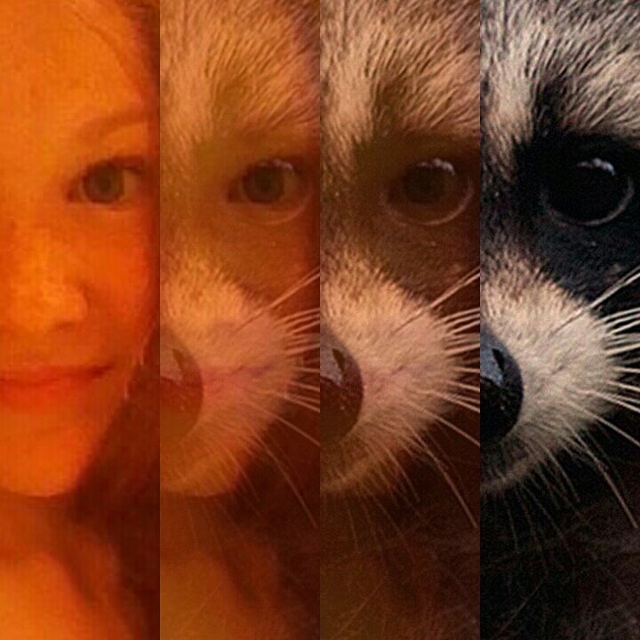 gorelovavika02's profile picture. 