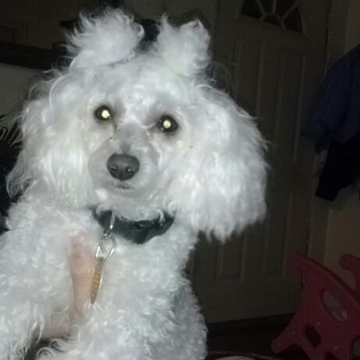 unicorn_b0ner's profile picture. go away