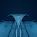 james stenhouse  - @stenhouse_j - Twitter