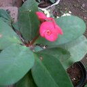 @ian-line - @ian_line32 - Twitter