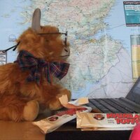 Morag the Moo (@moragthemoo) 's Twitter Profile Photo