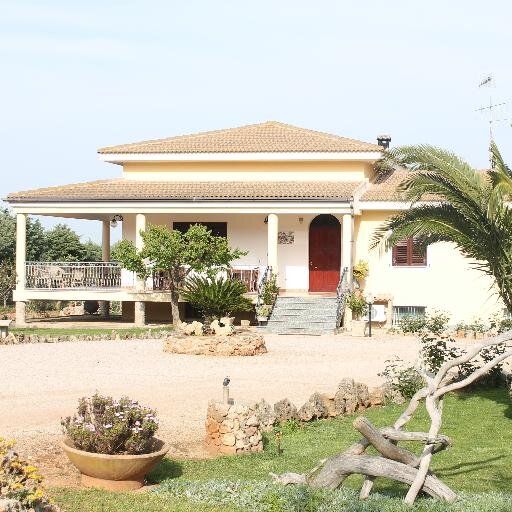 ANNARITAOGGIANU's profile picture. 