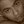 Arya Wibi (@HardManWithAGun) profile picture