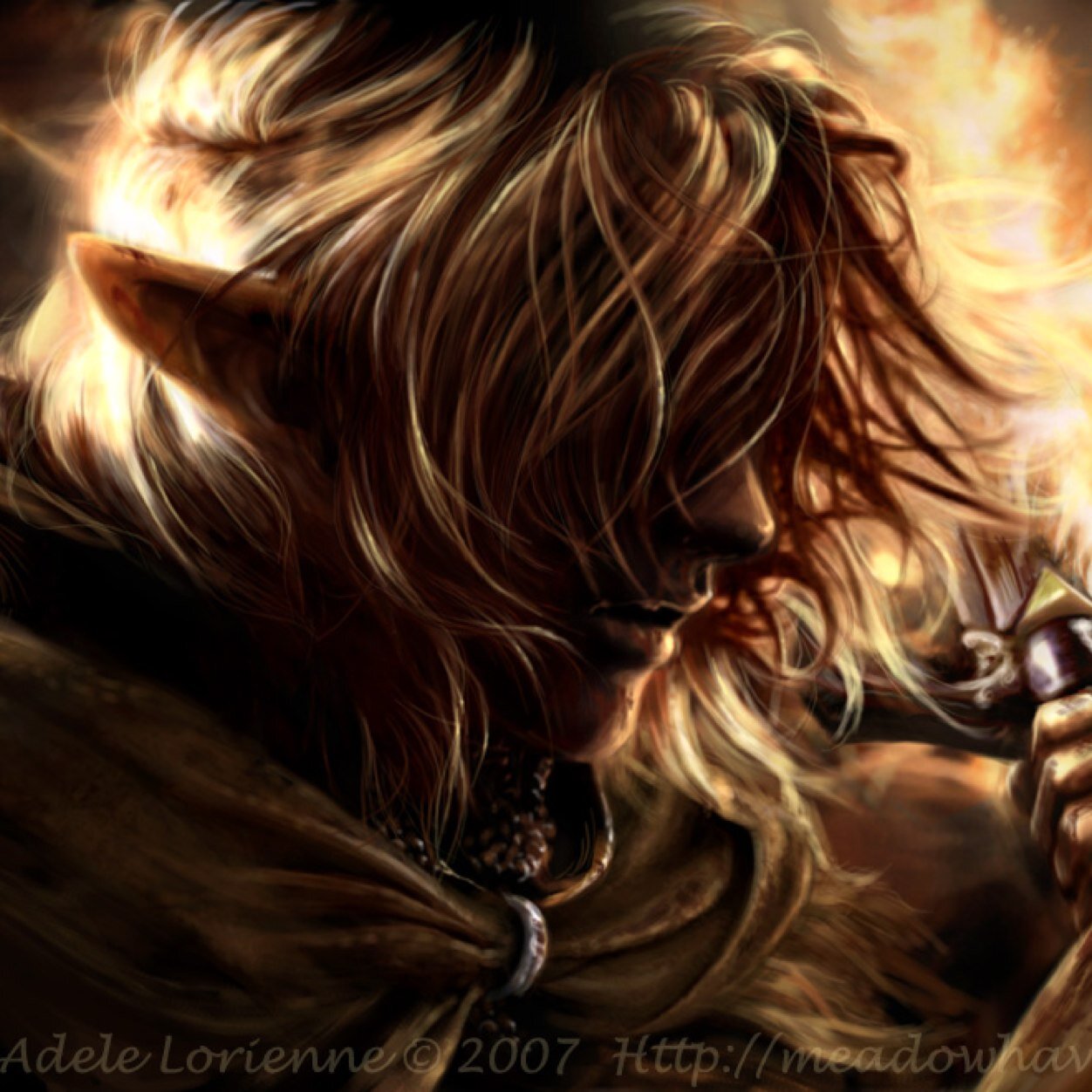 An Orlesian/Amaranthine mage travelling the world. I found myself in Kirkwall. DARP