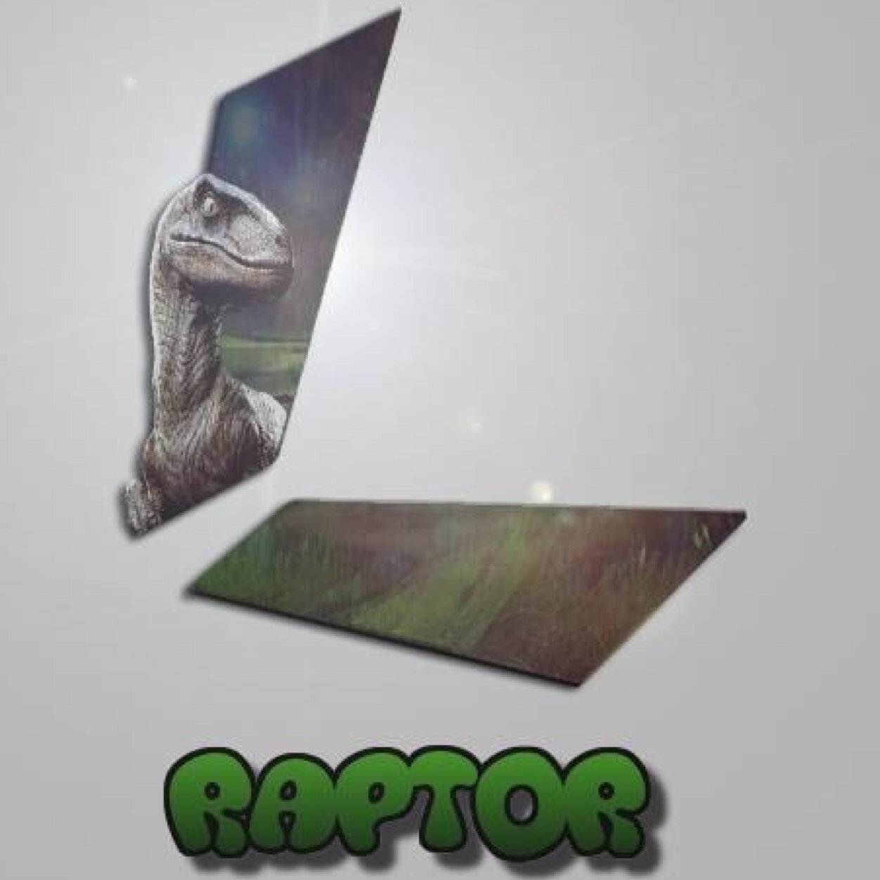 LynX Raptor Profile
