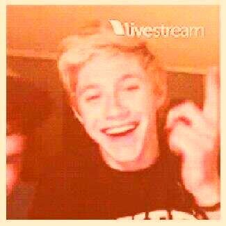 free follow from @motherfuckhoran and @shitfaceirwin follow them and ask for a follow back .x