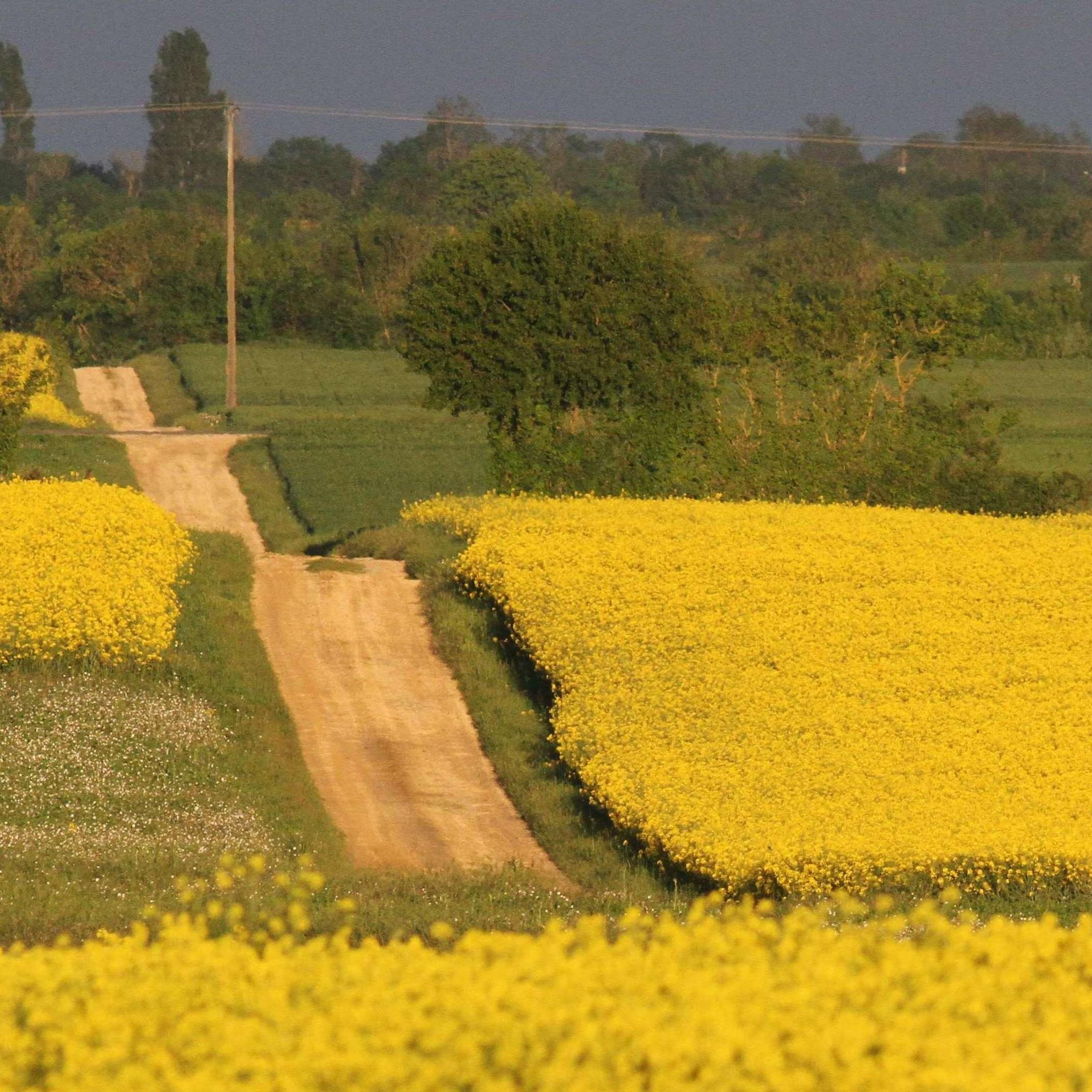 Suivi de la biodiversité en plaine céréalière depuis 1994-Agroécologie-Transfromation des territoires