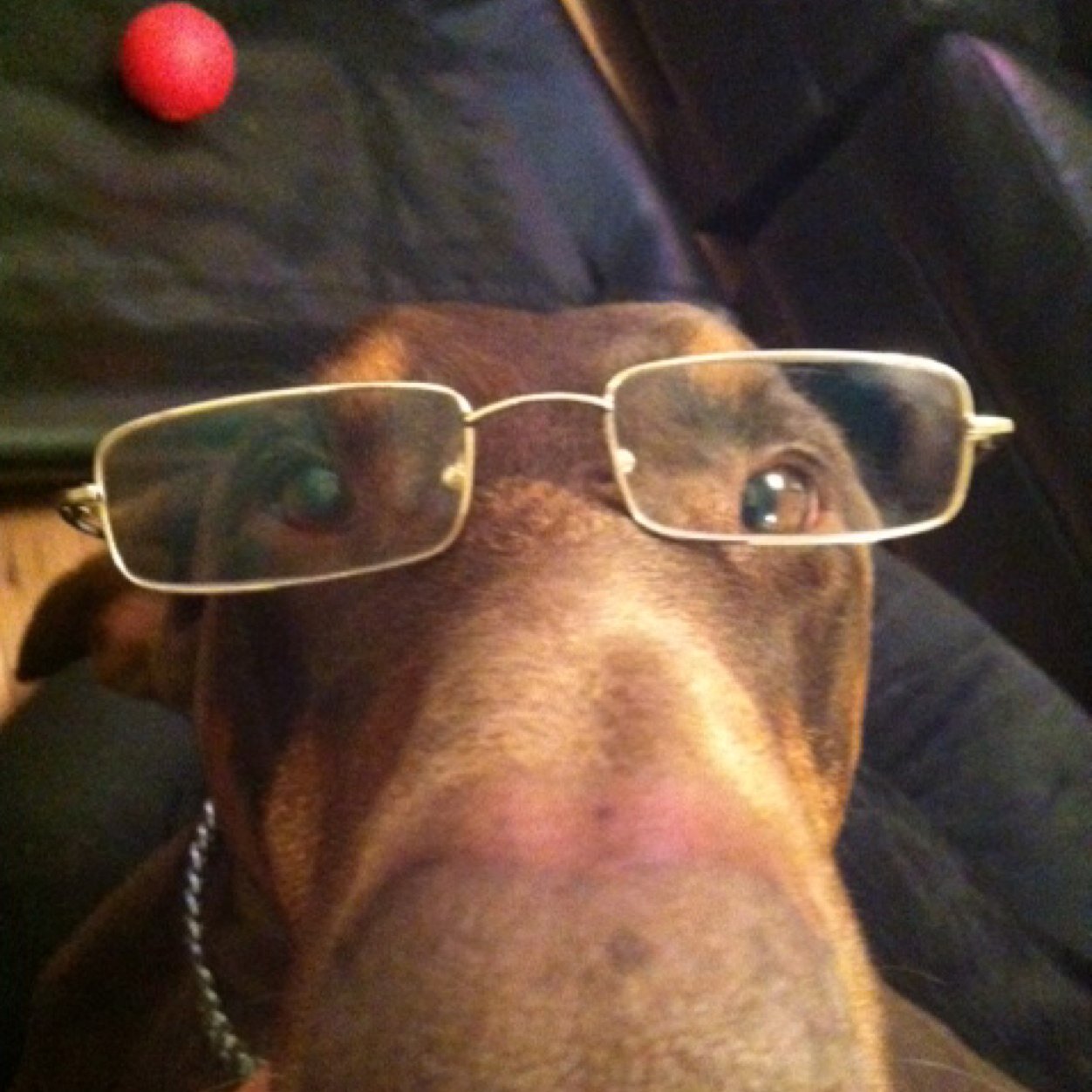 CavendishSE16's profile picture. We are an independent Special Needs secondary school in London SE16