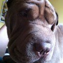 alxvrbv's profile picture. 