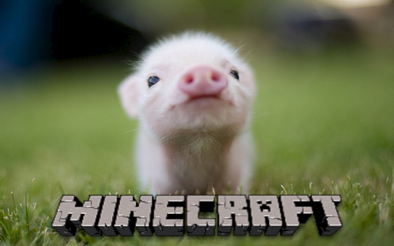 gameryopro's profile picture. 