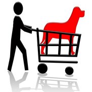 Zoo_Shopping's profile picture. 