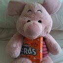 Loves Piglet, DVC Member, BOGP family member & NDW#63,