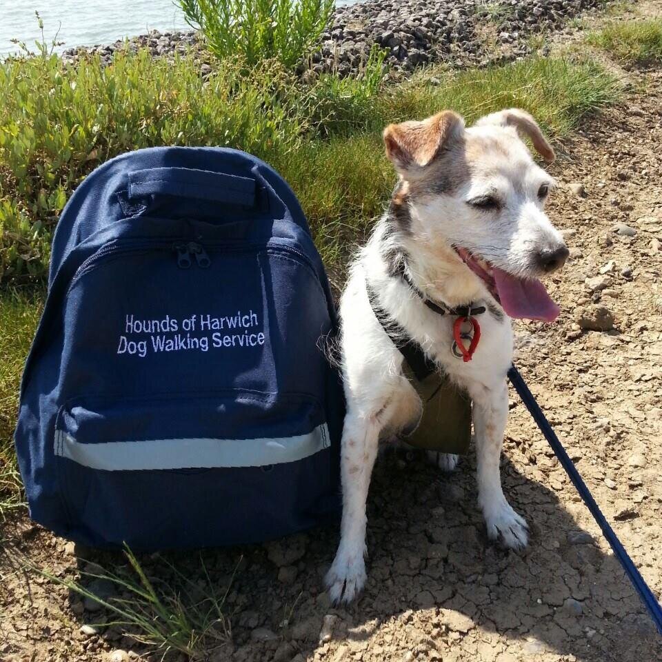 HoundsOfHarwich's profile picture. 