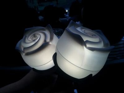 오직 비스트