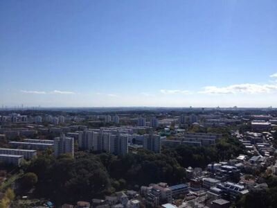 sasakihayato55's profile picture. WEBマーケター、WEBディレクター