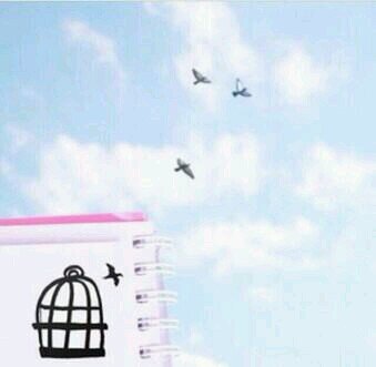 ‏#عبدالرحمن_شفلوت جزء من عائلتي سبقني الى الجنة                                                                          سبحان الله وبحمده سبحان الله العظيم