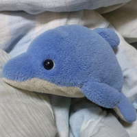 いるか (@x_bluedolphin_x) 's Twitter Profile Photo いるか (@x_bluedolphin_x) 's Twitter Profile Photo