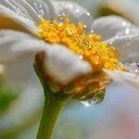 muna80's profile picture. 