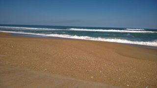 RNTwitt's profile picture. 