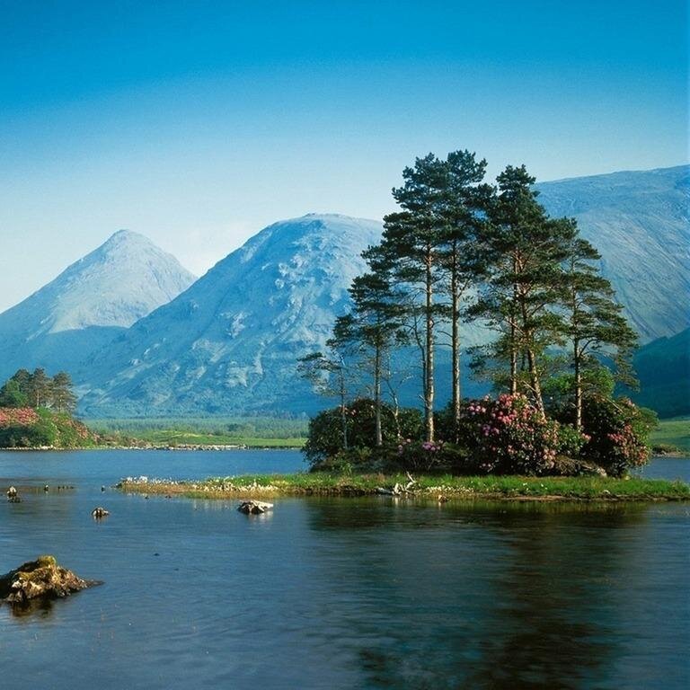 im_SsAaWw's profile picture. Better late than Never...