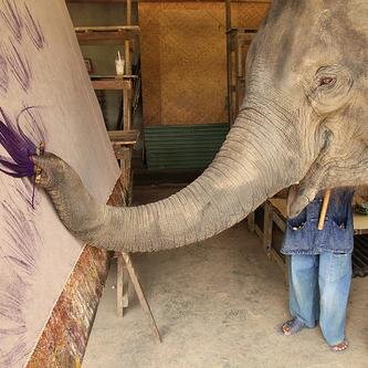 For the people who loves elephants.