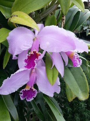 cbeckler4's profile picture. 