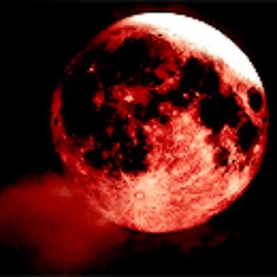 gbolla99's profile picture. 