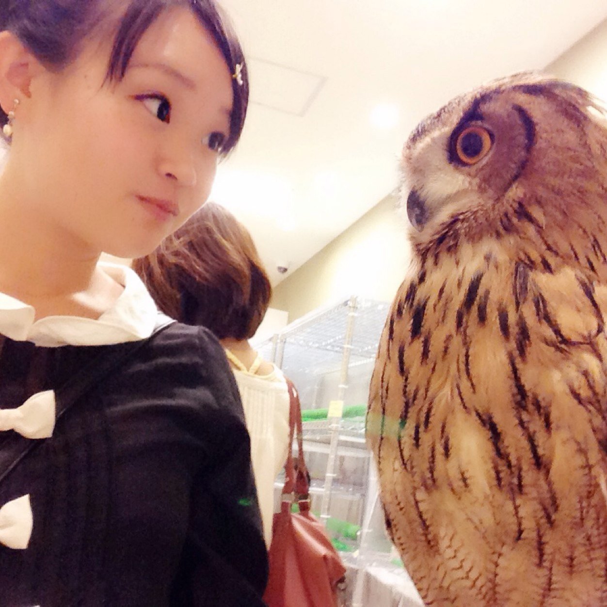 kucfmmmi's profile picture. ♡楽しいことだいすき♡笑顔が1番(⑅˃◡˂⑅)♡
