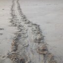 Tim Boggess - @TheTimBoggess - Twitter