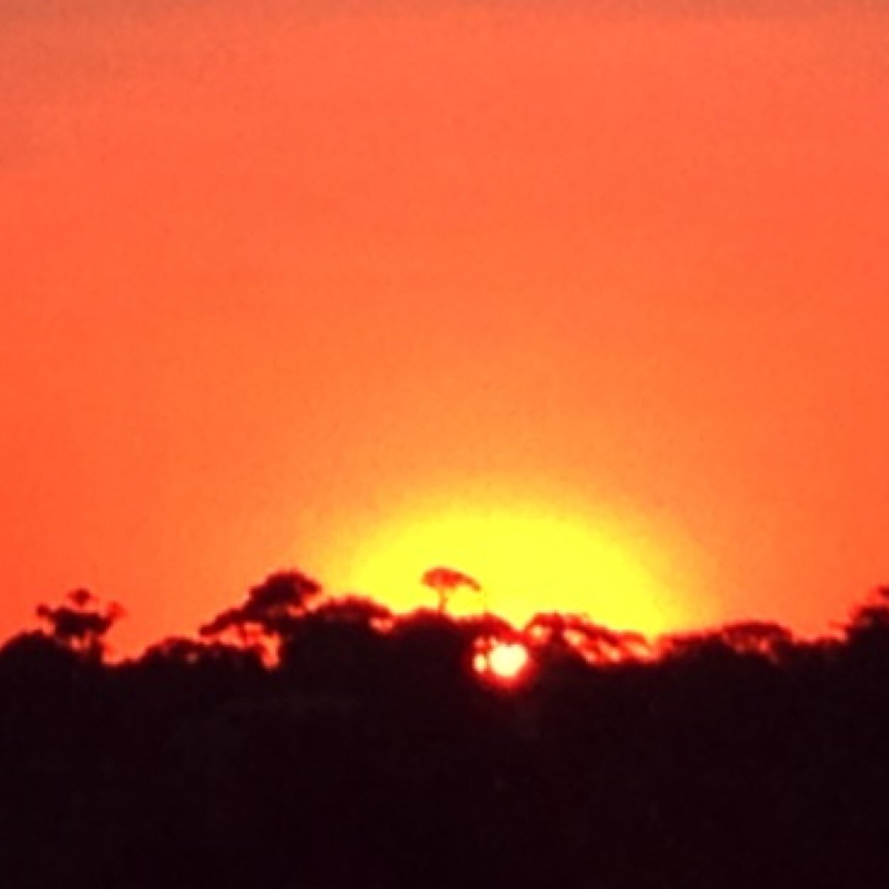 Paperchase02's profile picture. 