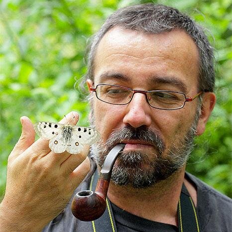 Entomologist focused on ecology, taxonomy & surveillance of invasive mosquitoes, working at the CSIC in the Mosquito Alert project. Nature photographer.