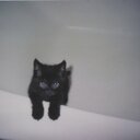 izzy bee phillips - @izzybeephillips - Twitter