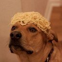 trapdogさんのプロフィール画像
