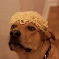 trapdog(@computer_screen) 's Twitter Profile Photo