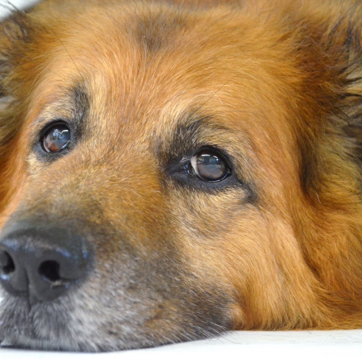 i love my dog, i love zumba, i love food - need to lose weight - check out my blog http://t.co/4Exh4Y2Tst
