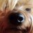 casas_lorden's profile image