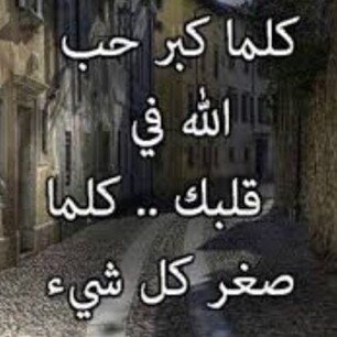 mayarrizq2's profile picture. 