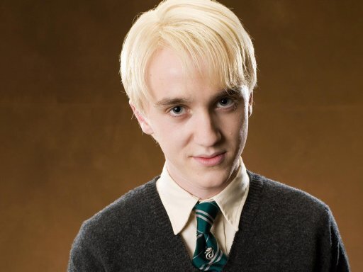 Casa Slytherin. Puteo Gryffindors. Me dan asco los muggles y los sangre sucia.