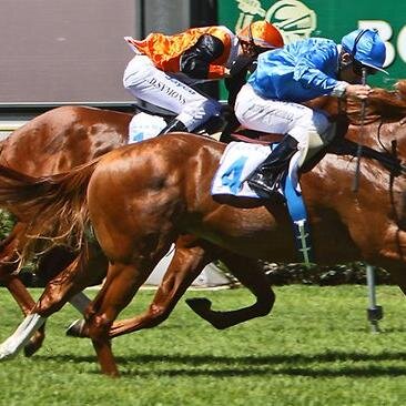 Aiming to be #1 Horse Racing tipster on twitter! 62% success rate for the last 30 days! For information on tips contact me at horseracingprofit@yahoo.com