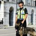 RGP Dog Section (@rgpdogsection) Twitter profile photo